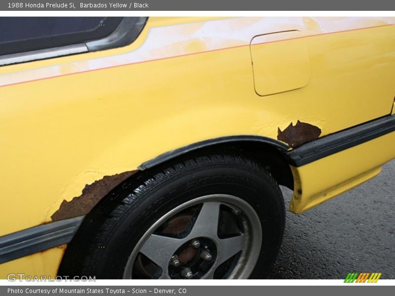 Barbados Yellow / Black 1988 Honda Prelude Si