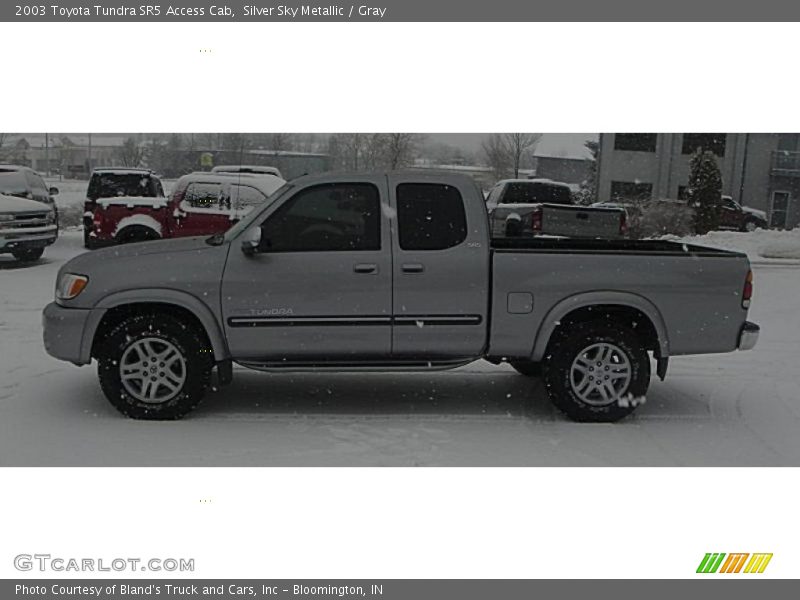 Silver Sky Metallic / Gray 2003 Toyota Tundra SR5 Access Cab