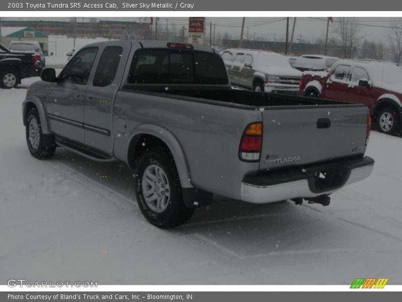 Silver Sky Metallic / Gray 2003 Toyota Tundra SR5 Access Cab