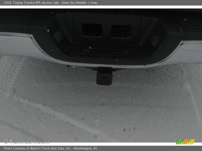 Silver Sky Metallic / Gray 2003 Toyota Tundra SR5 Access Cab