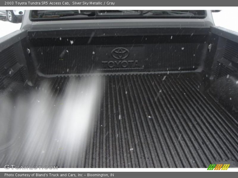 Silver Sky Metallic / Gray 2003 Toyota Tundra SR5 Access Cab