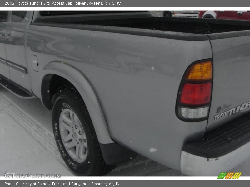 Silver Sky Metallic / Gray 2003 Toyota Tundra SR5 Access Cab