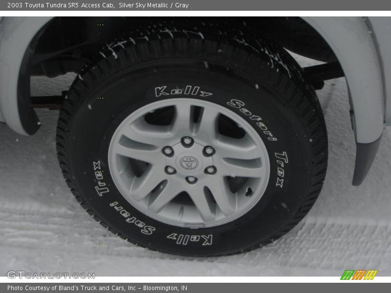 Silver Sky Metallic / Gray 2003 Toyota Tundra SR5 Access Cab