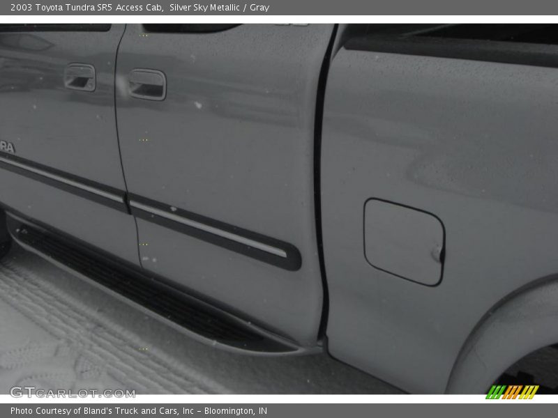 Silver Sky Metallic / Gray 2003 Toyota Tundra SR5 Access Cab