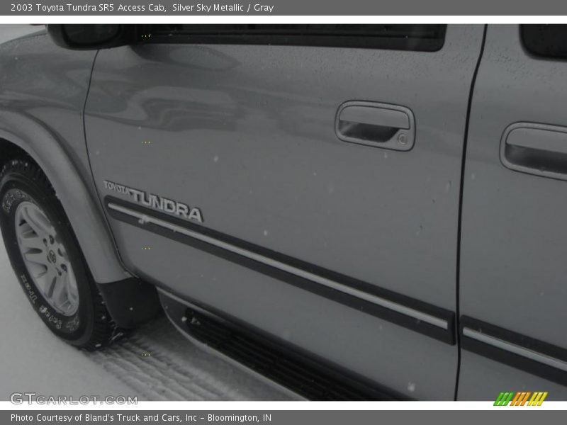 Silver Sky Metallic / Gray 2003 Toyota Tundra SR5 Access Cab