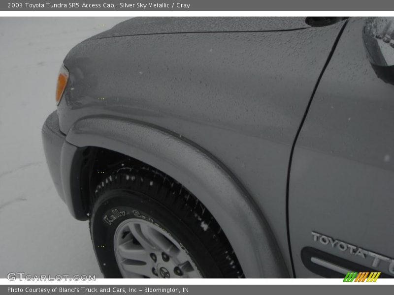 Silver Sky Metallic / Gray 2003 Toyota Tundra SR5 Access Cab