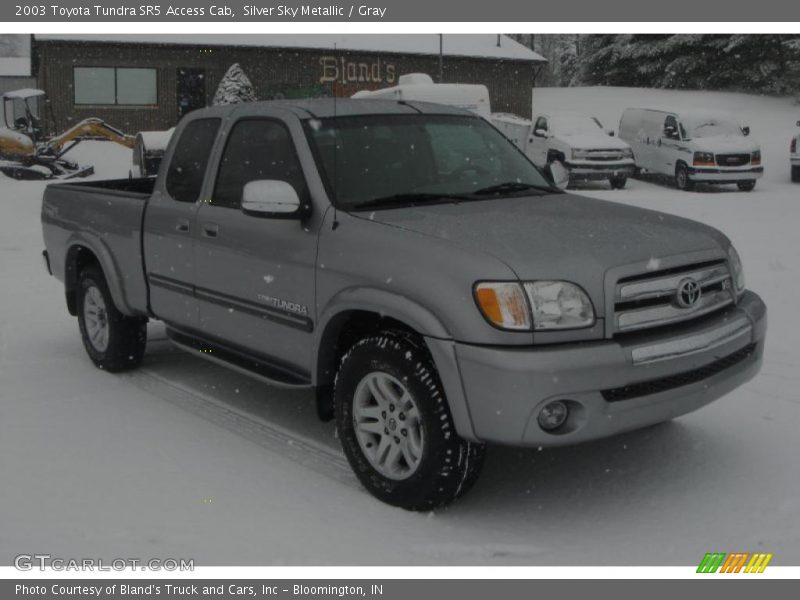 Silver Sky Metallic / Gray 2003 Toyota Tundra SR5 Access Cab