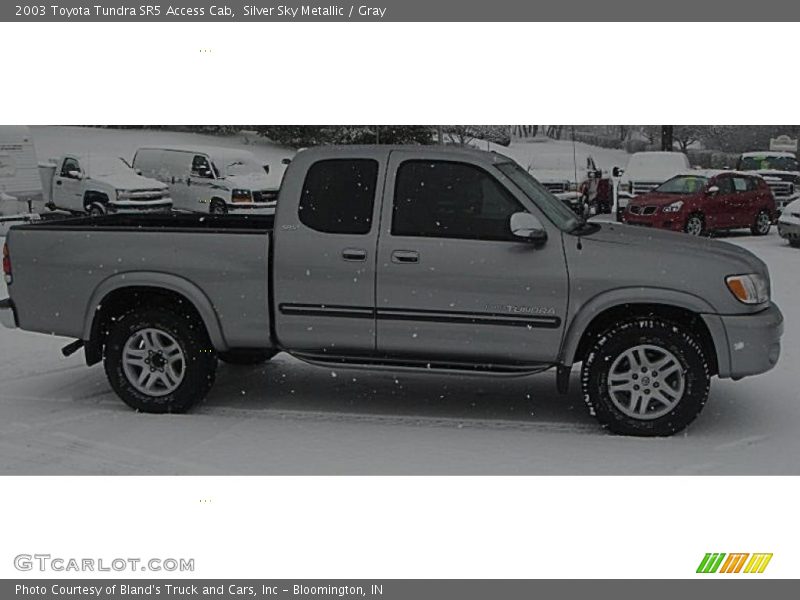 Silver Sky Metallic / Gray 2003 Toyota Tundra SR5 Access Cab