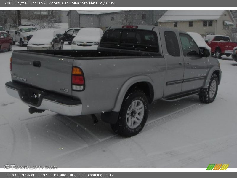 Silver Sky Metallic / Gray 2003 Toyota Tundra SR5 Access Cab