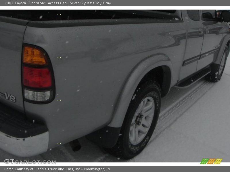 Silver Sky Metallic / Gray 2003 Toyota Tundra SR5 Access Cab