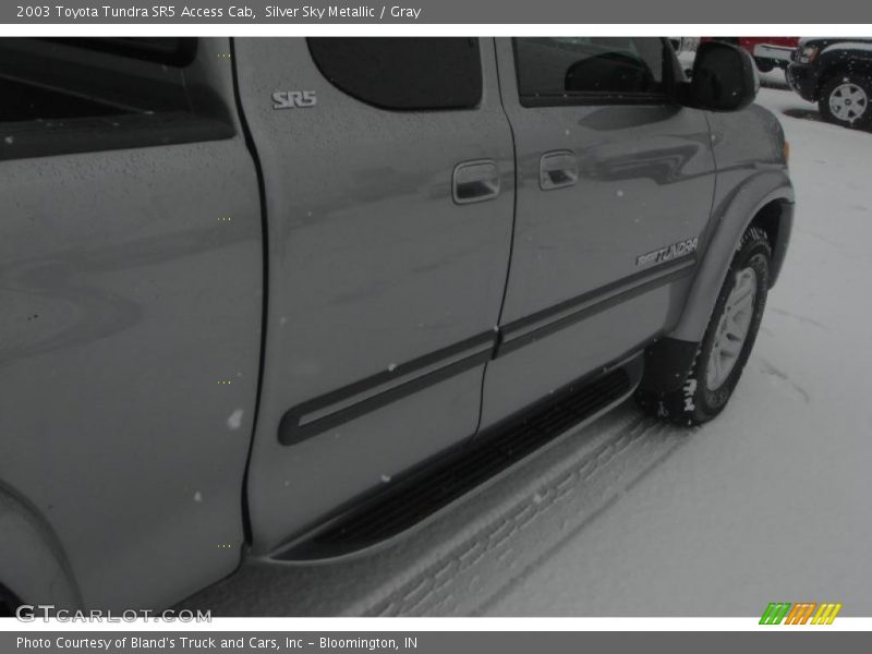 Silver Sky Metallic / Gray 2003 Toyota Tundra SR5 Access Cab