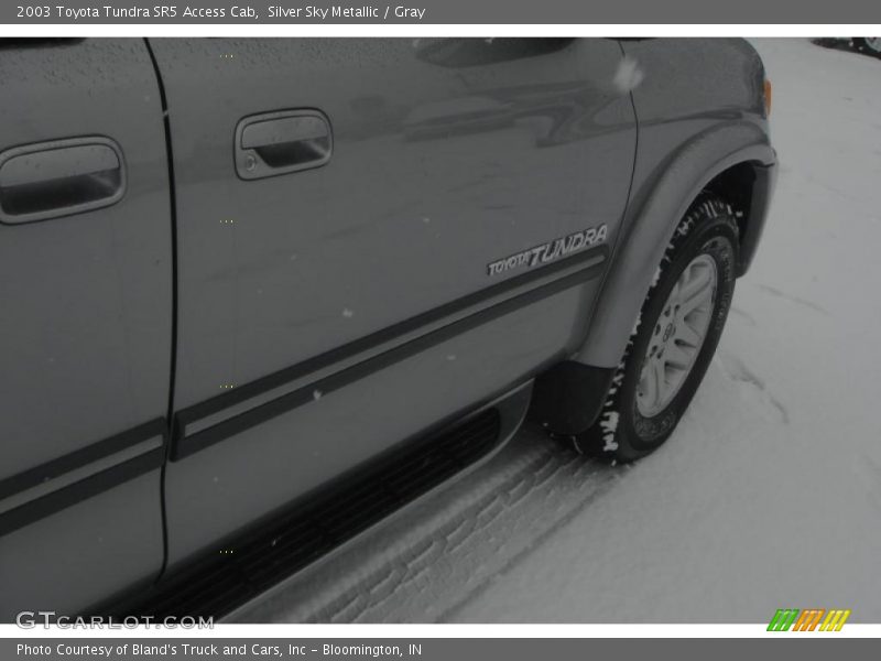 Silver Sky Metallic / Gray 2003 Toyota Tundra SR5 Access Cab