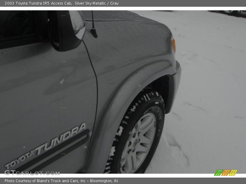 Silver Sky Metallic / Gray 2003 Toyota Tundra SR5 Access Cab