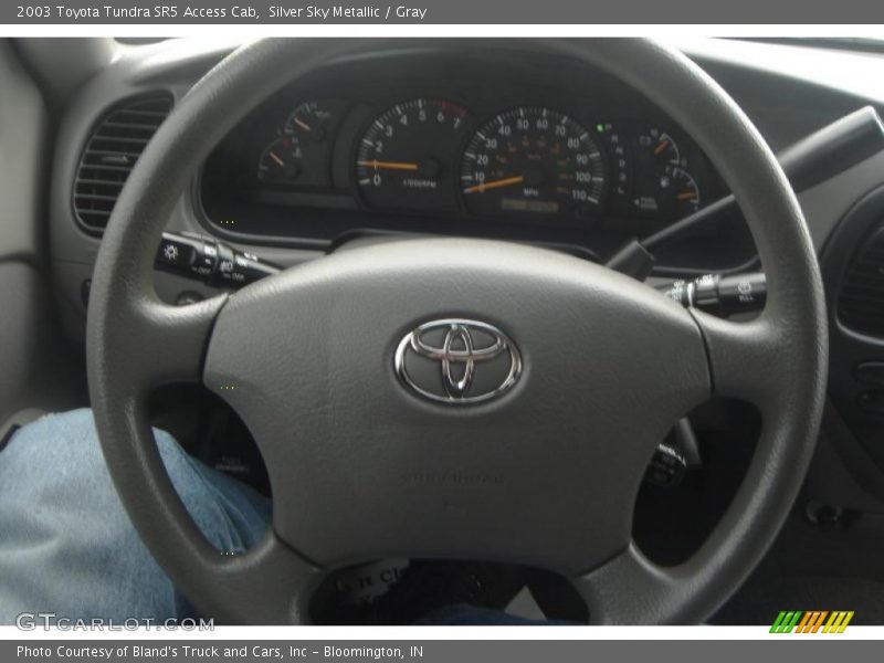 Silver Sky Metallic / Gray 2003 Toyota Tundra SR5 Access Cab
