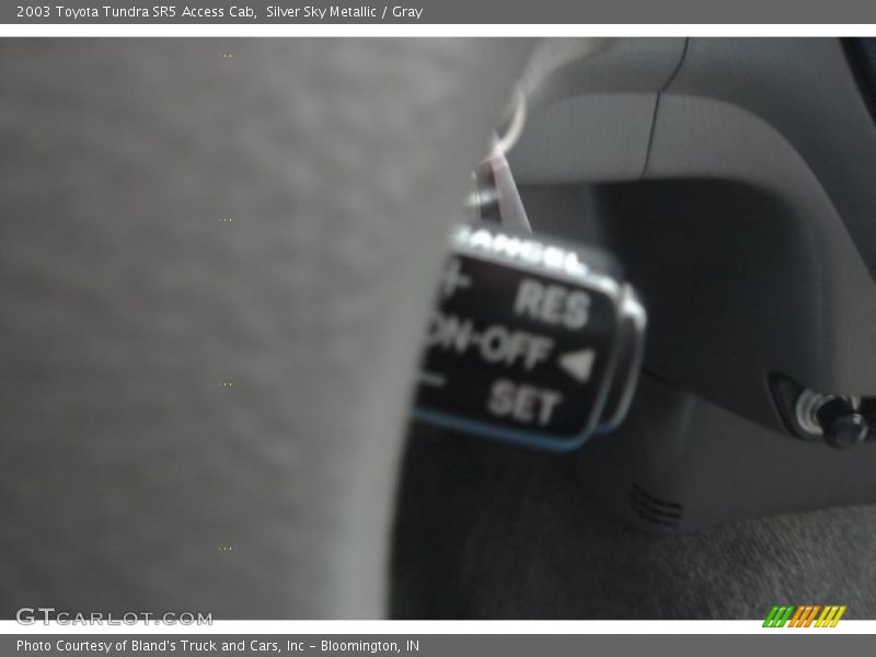 Silver Sky Metallic / Gray 2003 Toyota Tundra SR5 Access Cab