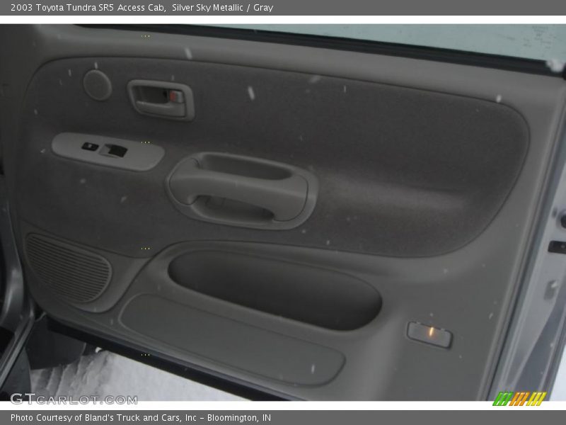 Silver Sky Metallic / Gray 2003 Toyota Tundra SR5 Access Cab