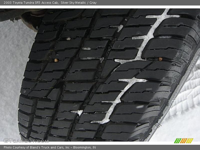 Silver Sky Metallic / Gray 2003 Toyota Tundra SR5 Access Cab