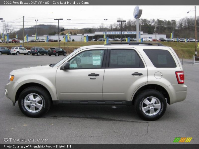 Gold Leaf Metallic / Camel 2011 Ford Escape XLT V6 4WD