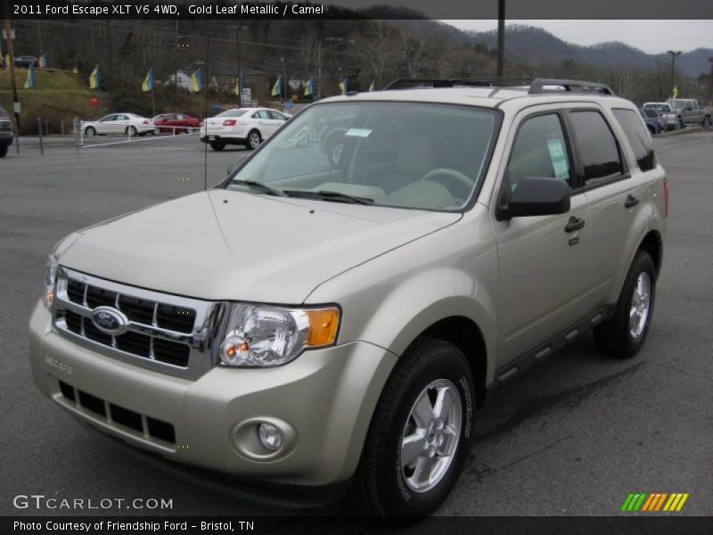 Gold Leaf Metallic / Camel 2011 Ford Escape XLT V6 4WD