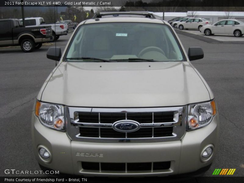 Gold Leaf Metallic / Camel 2011 Ford Escape XLT V6 4WD