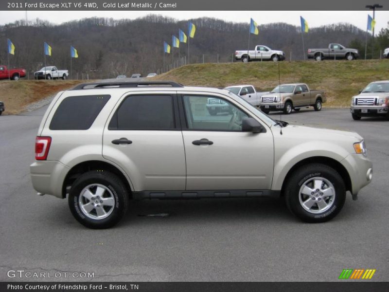 Gold Leaf Metallic / Camel 2011 Ford Escape XLT V6 4WD