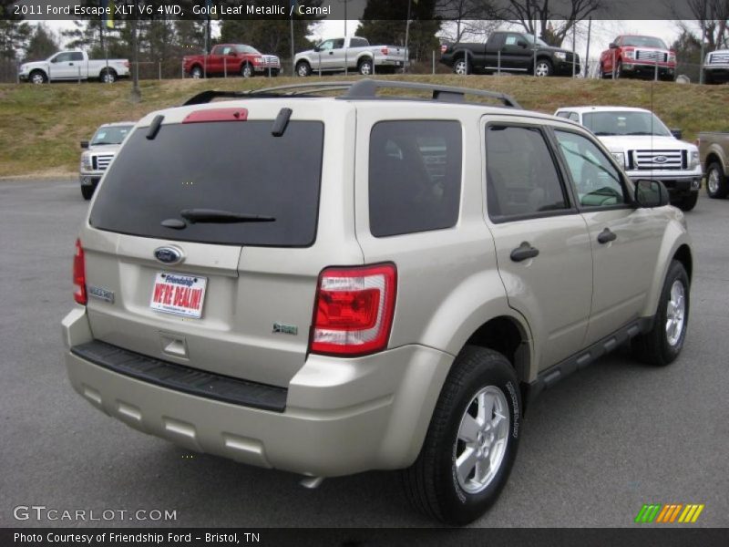 Gold Leaf Metallic / Camel 2011 Ford Escape XLT V6 4WD