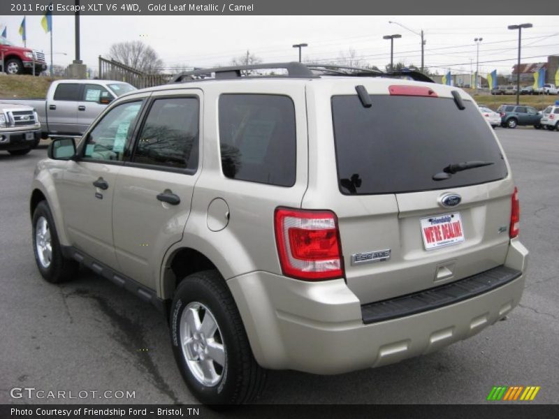 Gold Leaf Metallic / Camel 2011 Ford Escape XLT V6 4WD
