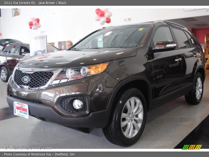 Java Brown / Black 2011 Kia Sorento EX