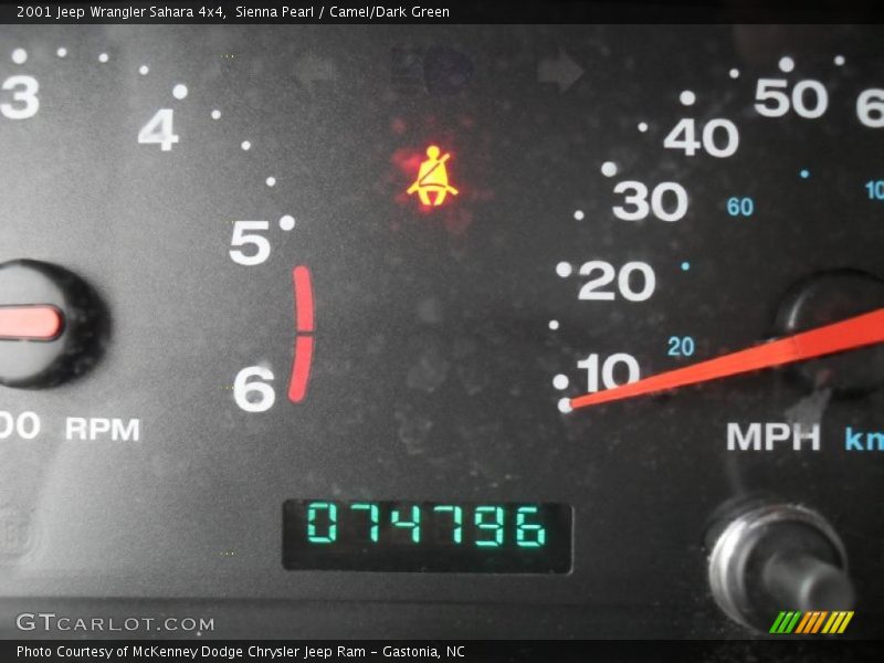 Sienna Pearl / Camel/Dark Green 2001 Jeep Wrangler Sahara 4x4