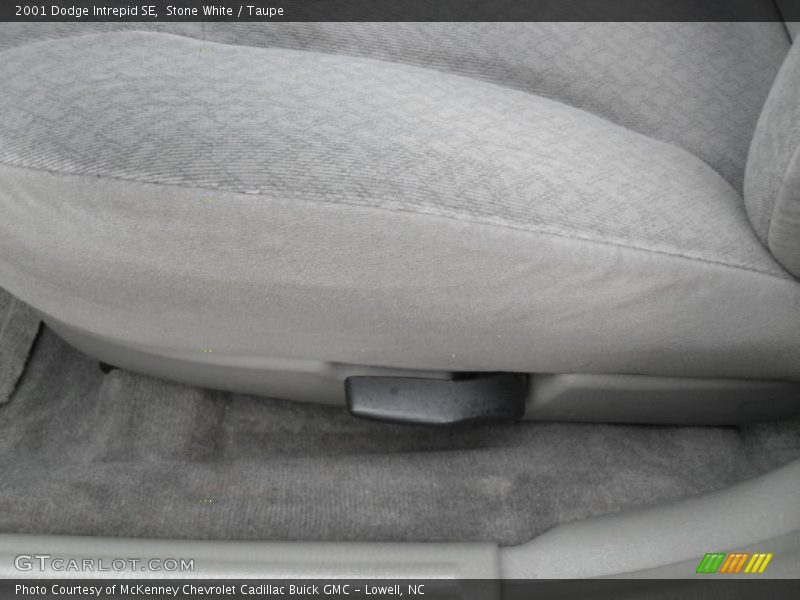 Stone White / Taupe 2001 Dodge Intrepid SE