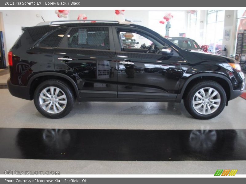 Ebony Black / Black 2011 Kia Sorento EX