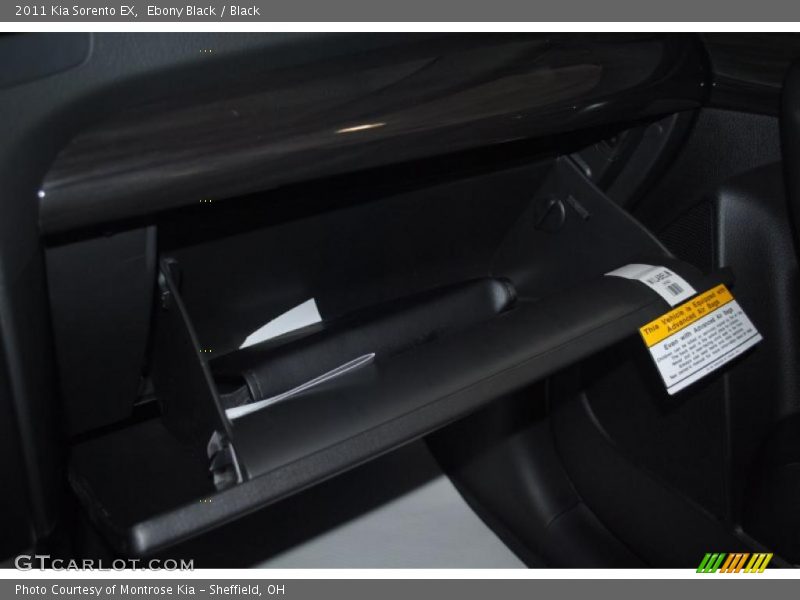 Ebony Black / Black 2011 Kia Sorento EX