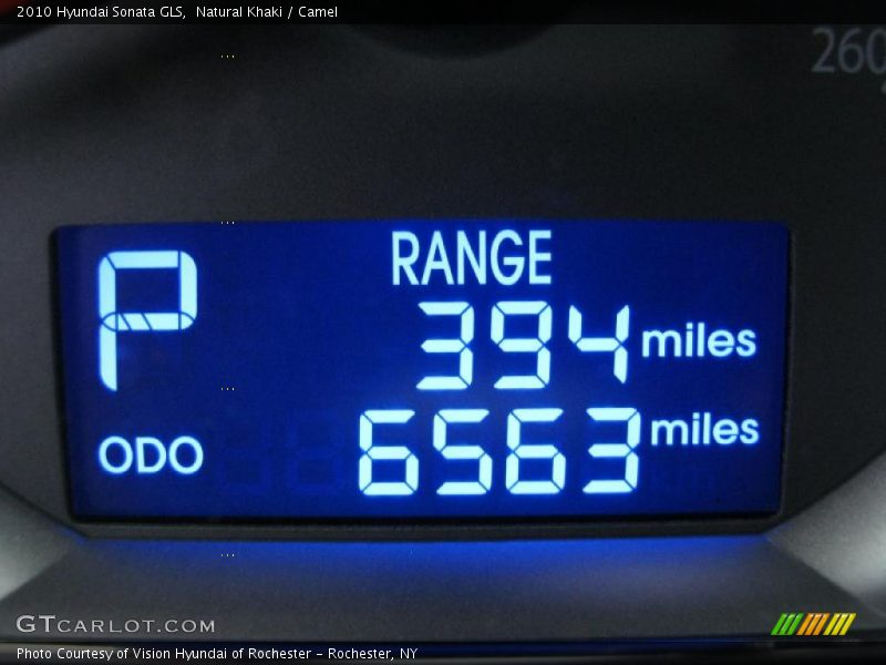 Natural Khaki / Camel 2010 Hyundai Sonata GLS