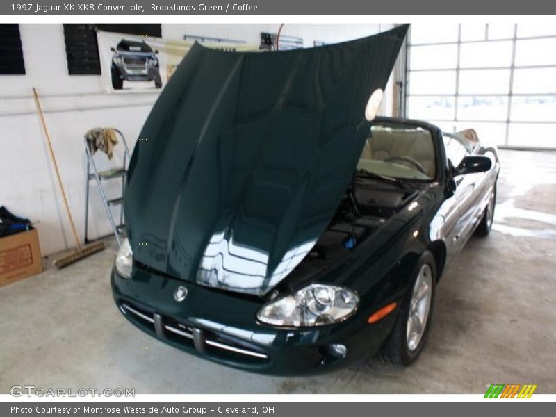 Brooklands Green / Coffee 1997 Jaguar XK XK8 Convertible