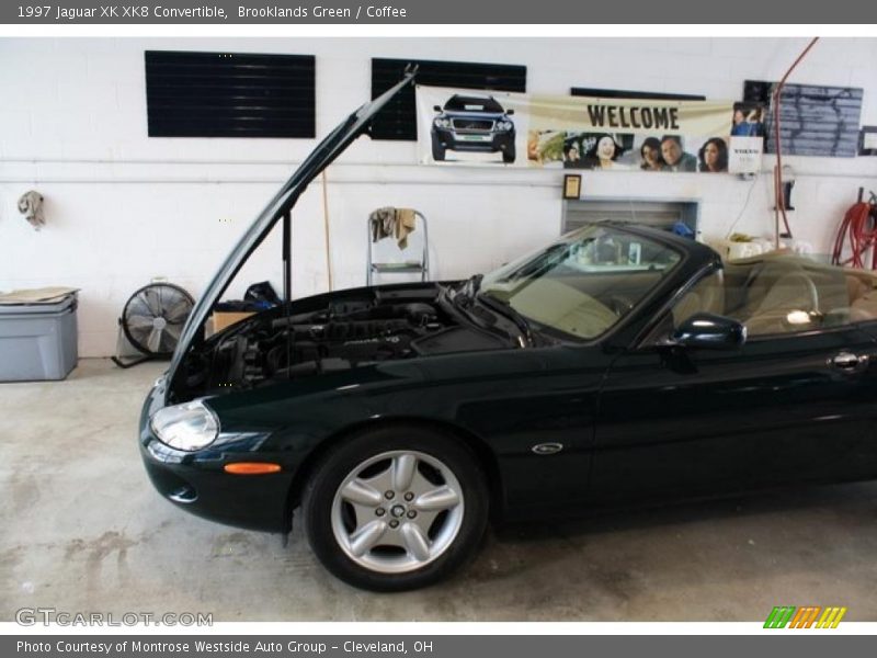 Brooklands Green / Coffee 1997 Jaguar XK XK8 Convertible