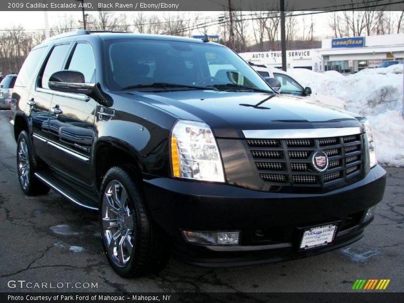 Black Raven / Ebony/Ebony 2009 Cadillac Escalade AWD
