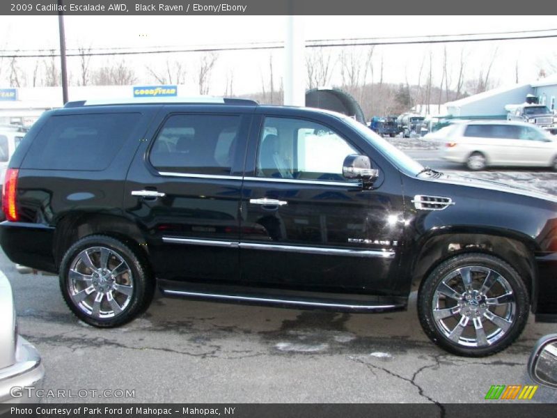 Black Raven / Ebony/Ebony 2009 Cadillac Escalade AWD