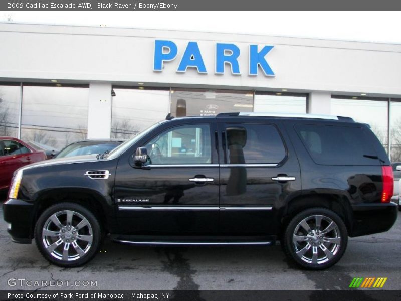 Black Raven / Ebony/Ebony 2009 Cadillac Escalade AWD