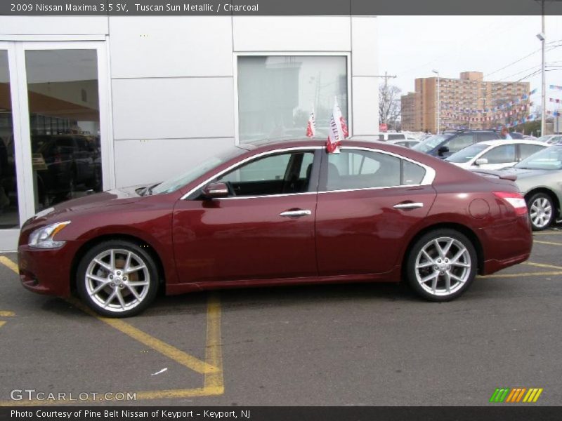 Tuscan Sun Metallic / Charcoal 2009 Nissan Maxima 3.5 SV