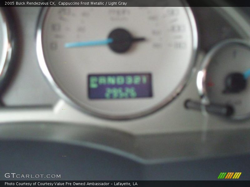Cappuccino Frost Metallic / Light Gray 2005 Buick Rendezvous CX