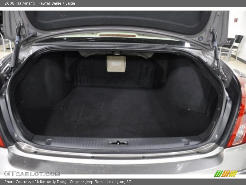 Pewter Beige / Beige 2008 Kia Amanti