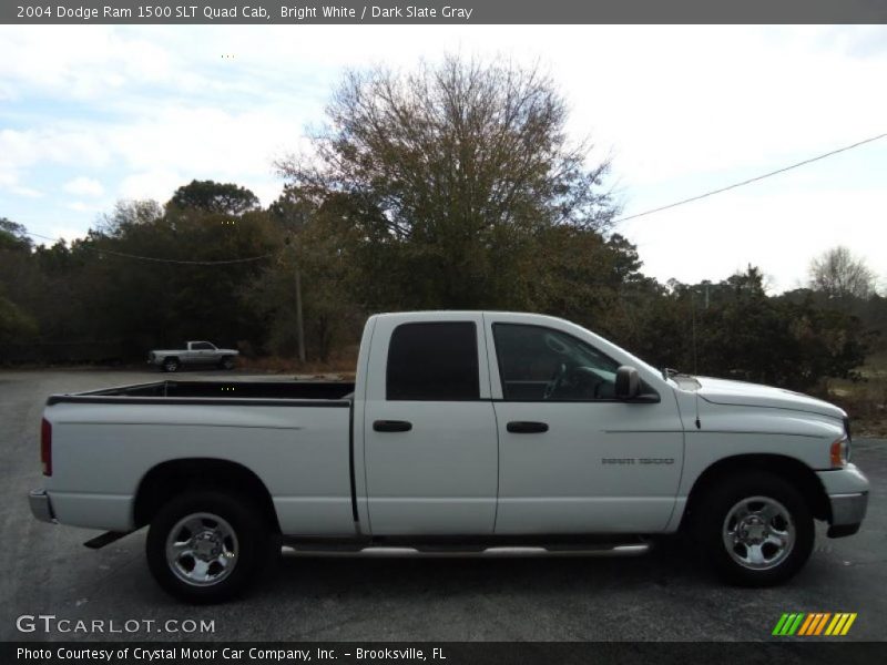 Bright White / Dark Slate Gray 2004 Dodge Ram 1500 SLT Quad Cab