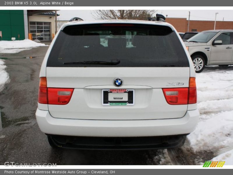 Alpine White / Beige 2003 BMW X5 3.0i