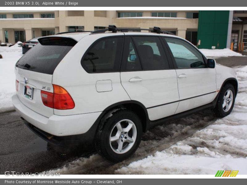 Alpine White / Beige 2003 BMW X5 3.0i