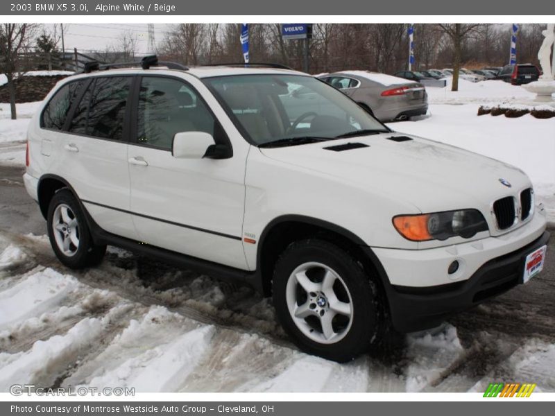 Alpine White / Beige 2003 BMW X5 3.0i