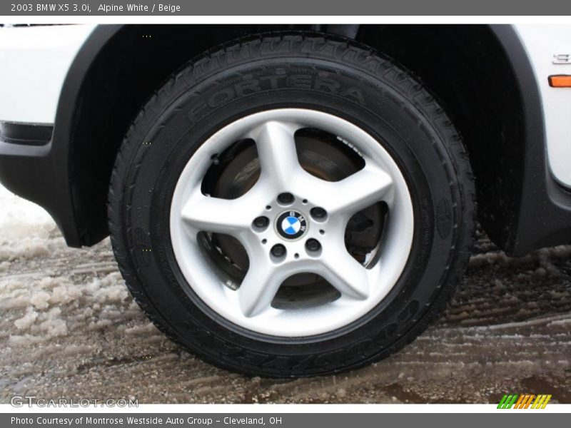 Alpine White / Beige 2003 BMW X5 3.0i