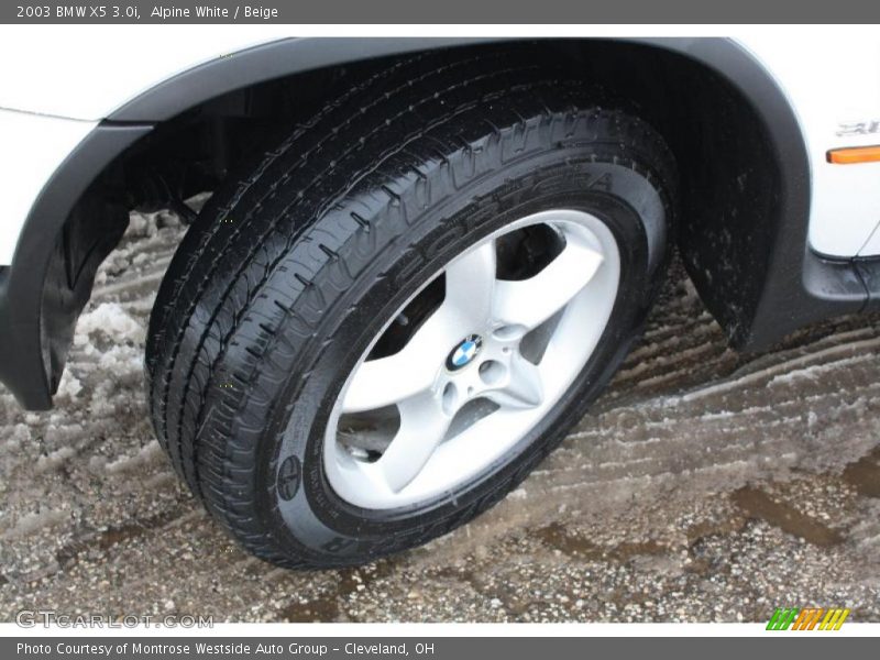 Alpine White / Beige 2003 BMW X5 3.0i