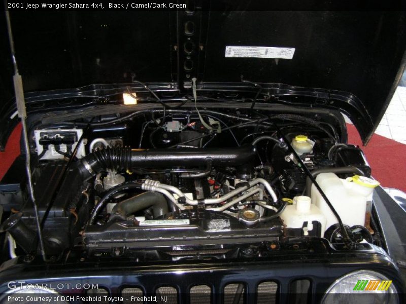 Black / Camel/Dark Green 2001 Jeep Wrangler Sahara 4x4