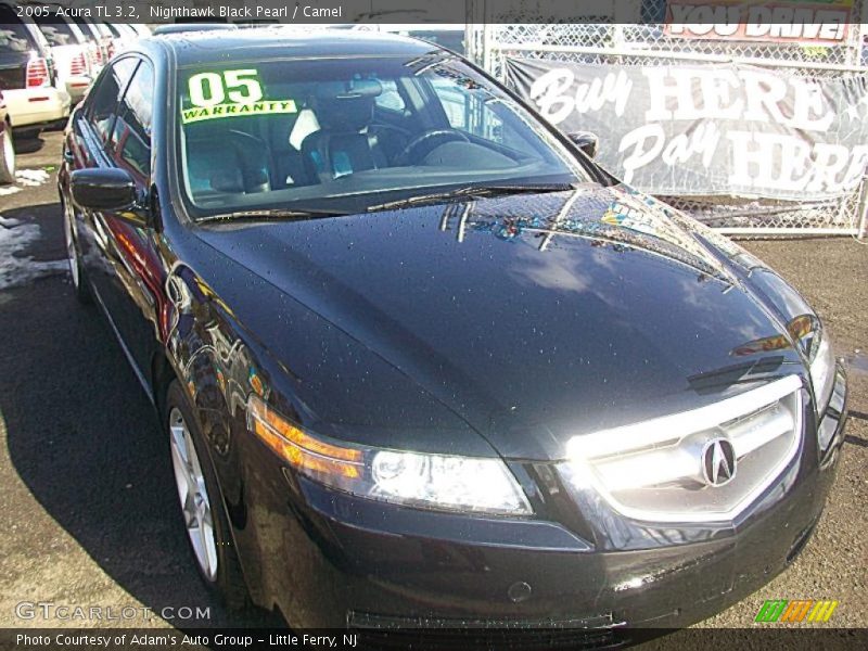 Nighthawk Black Pearl / Camel 2005 Acura TL 3.2