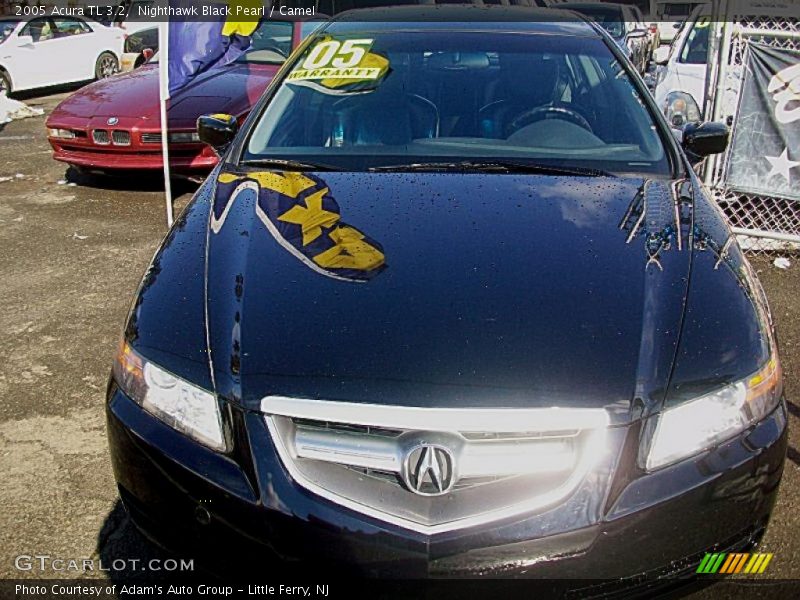 Nighthawk Black Pearl / Camel 2005 Acura TL 3.2